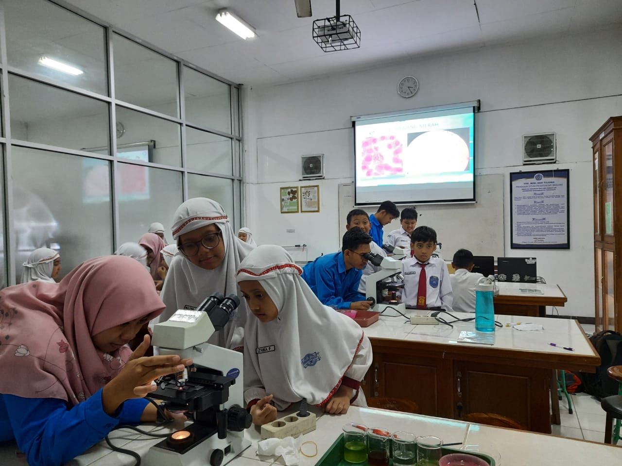 Serunya Sains Club SD Muhammadiyah PK Kunjungi Laboratorium Biologi UMS