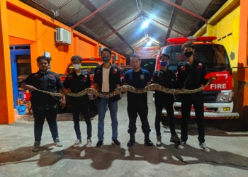 Jendela Komunitas Bersama Komunitas Oemah Ulo