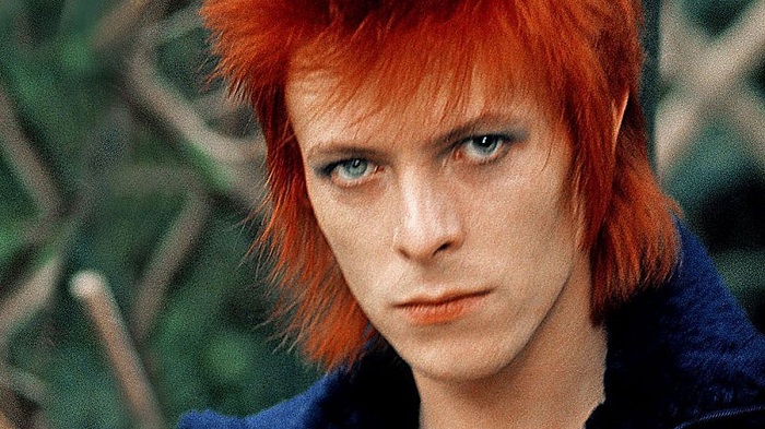 Biografi David Bowie