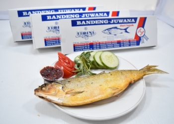 Bandeng Juwana Elrina