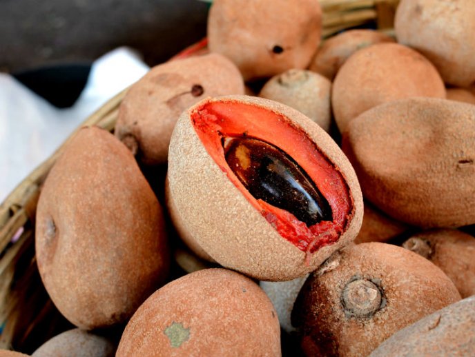 Mamey Sapote