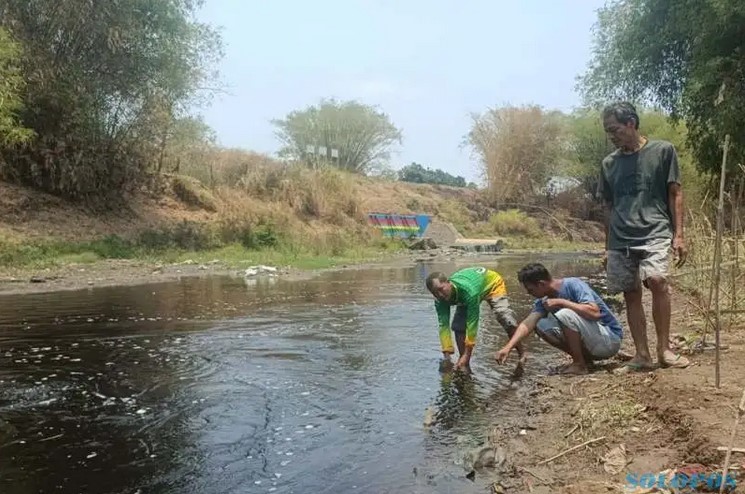 Warga Desa Pranan Sukoharjo Terganggu Bau Busuk Akibat Limbah Ciu