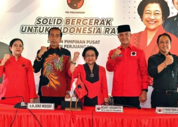 Partai PDIP Megawati dan Jokowi