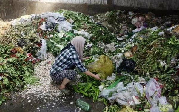 Ketahanan Pangan Global, 1,3 Miliar Ton Makanan Terbuang Setiap Tahun