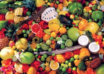 ilustrasi buah