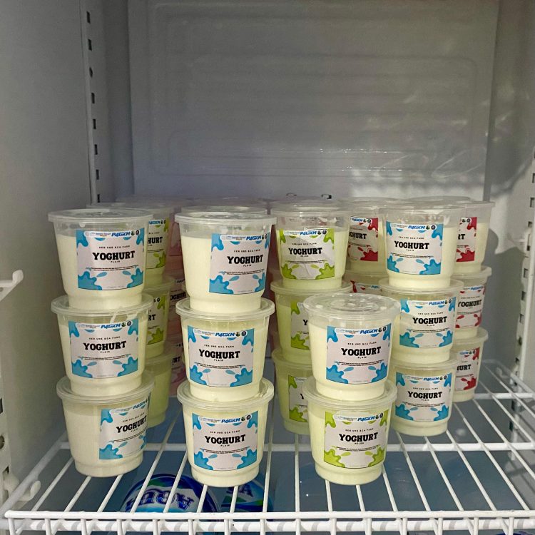 Berlangsung hingga Hari Ini, Pameran Mahasiswa KKN UNS di Rumdin Bupati Sukoharjo Sedot Perhatian Pengunjung