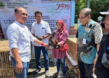 beternak ayam ketua dprd jateng sumanto