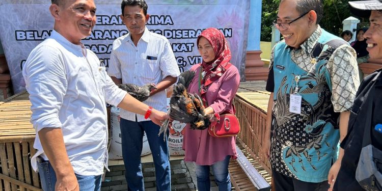 beternak ayam ketua dprd jateng sumanto