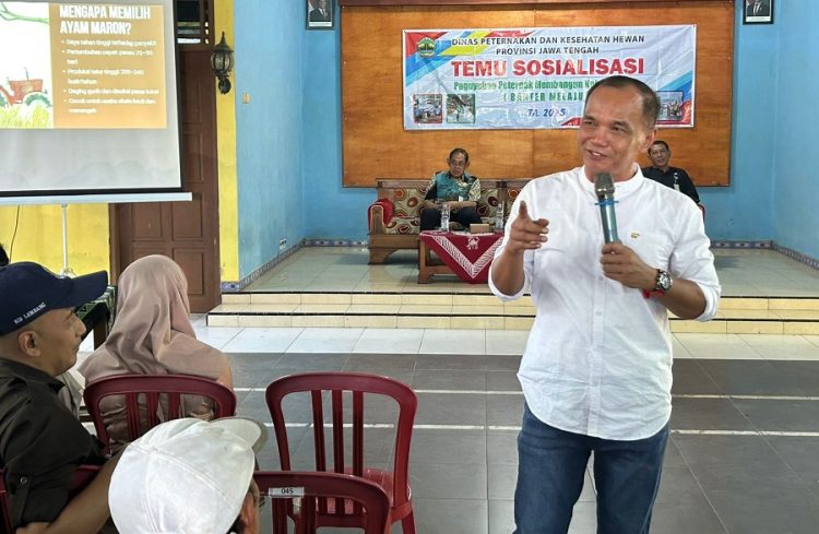 Dorong Beternak Jadi Usaha Sampingan Warga, Ketua DPRD Jateng Berikan Bantuan Ayam Petelur