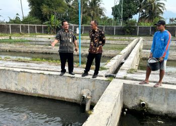 Ketua DPRD Jateng: Budidaya Ikan Lokal Menjanjikan, Ditargetkan 2 Bulan Bisa Panen