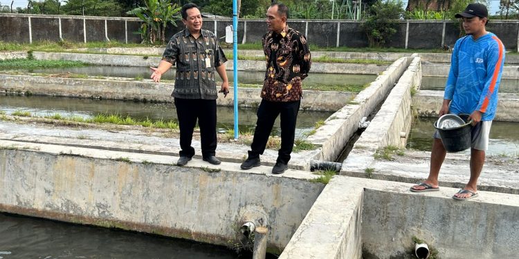 Ketua DPRD Jateng: Budidaya Ikan Lokal Menjanjikan, Ditargetkan 2 Bulan Bisa Panen