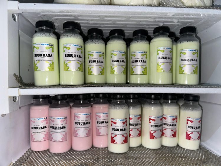 UNS Pengabdian di Desa Plesan, Bimbing Peternak tentang Inovasi Pakan dan Produk Susu Berkualitas Tinggi