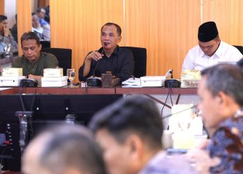 harga pangan nataru 2025