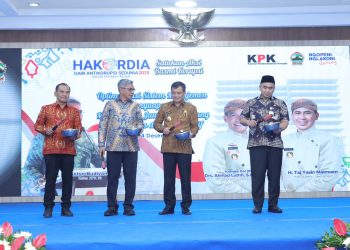 BPR dan BKK Rawan Kredit Macet Akibat Perilaku Kejar Target dan Kurangnya Pengawasan