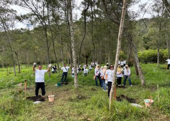 Rawat Bumi, Injourney Airports Soemarmo Tanam 800 Pohon Puspa di Bukit Mongkrang Karanganyar