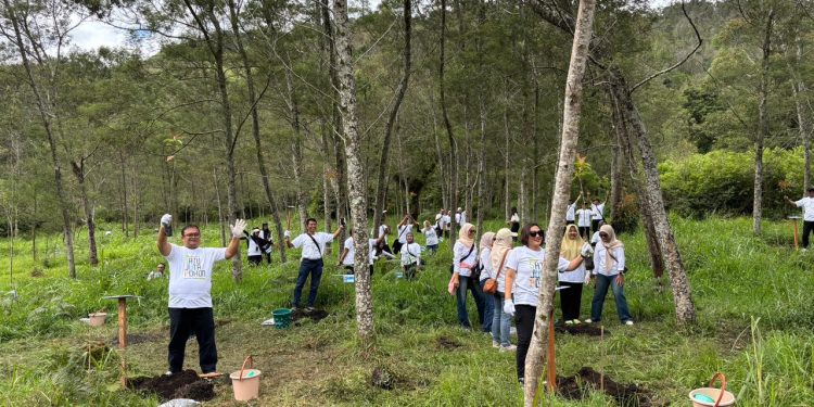 Rawat Bumi, Injourney Airports Soemarmo Tanam 800 Pohon Puspa di Bukit Mongkrang Karanganyar