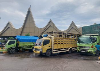 Pengemudi Truk Harus Menjadi Perhatian Pemerintah