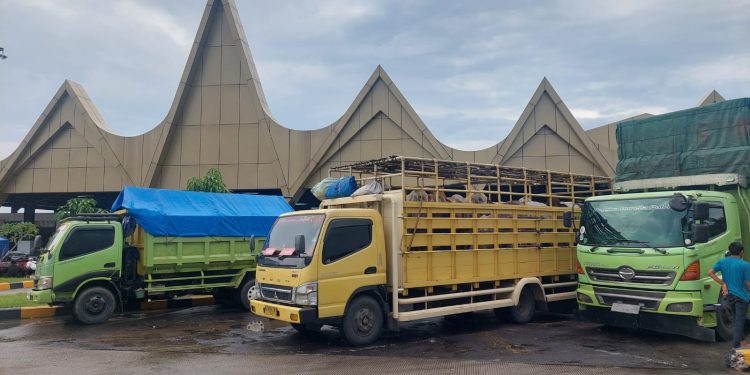 Pengemudi Truk Harus Menjadi Perhatian Pemerintah