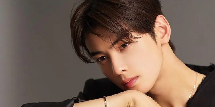 Cha Eun-woo Diduga Menghindari Pajak