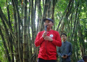 Sumanto Singgung Mitos Genderuwo, Pohon Besar Dijaga demi Kelangsungan Sumber Air Desa