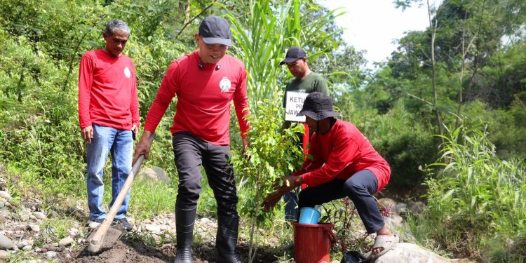 Jelang Bulan Bung Karno, Ketua DPRD Jateng Sumanto Gerakkan Warga Tanam Pohon di Lereng Gunung Lawu