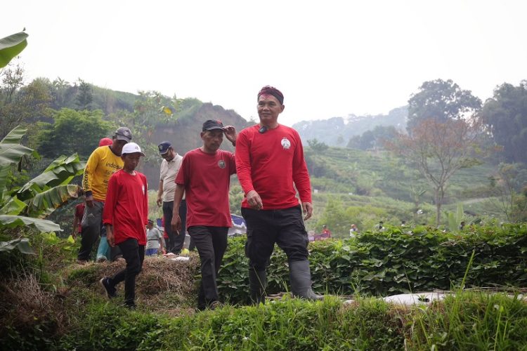 Sumanto Galakkan Penanaman Pohon di Girilayu sebagai Antisipasi Krisis Air saat Kemarau