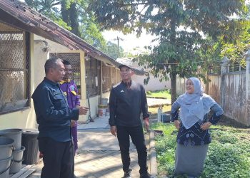 Sumanto Dorong Pengembangan Ayam Maron untuk Perkuat Produksi Ternak Jateng