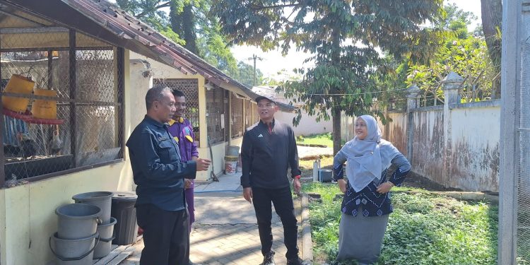 Sumanto Dorong Pengembangan Ayam Maron untuk Perkuat Produksi Ternak Jateng