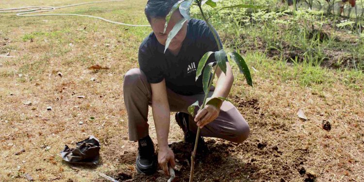 Sambut Hari Ozon Internasional, Mercure Solo Tanam 50 Pohon di Taman Balekambang