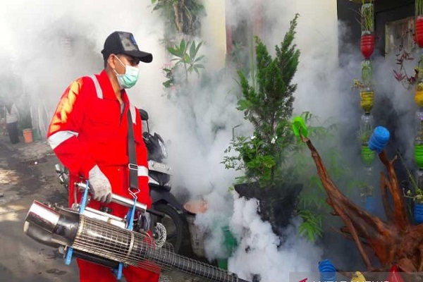 Temanggung KLB DBD, Dinkes Emoh Tanggung Jawab Sendiri