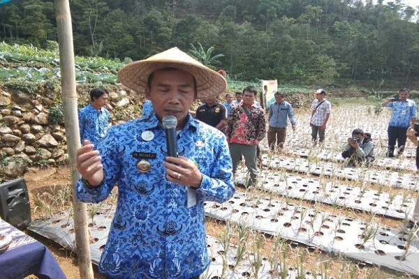 Batang Upayakan Operasi Pasar Bawang Putih
