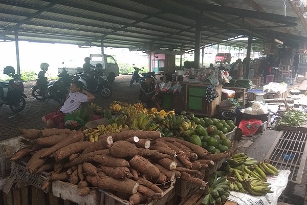 Penghasilan Pedagang Sapi Salatiga Makin Anjlok