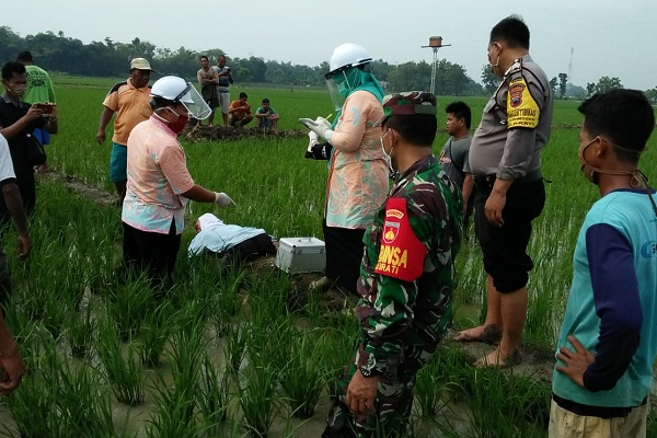 Petani Grobogan Meninggal Dunia di Pematang Sawah, Ini Penyebabnya…