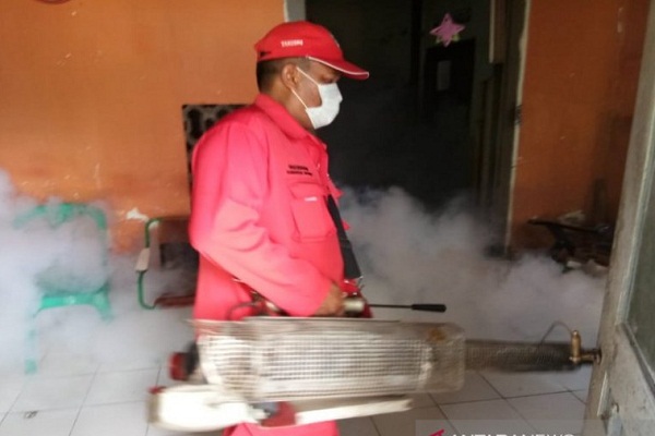 Sudah 40 Warga Pekalongan Idap Demam Berdarah Dengue
