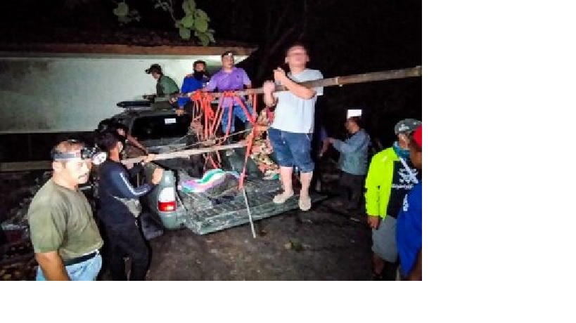 Dua Beruang Madu Lepas dari WRC Jogja Bikin Geger Warga