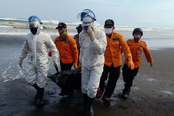 Tim SAR Temukan Jasad Wisatawan Hilang di Pantai Cilacap