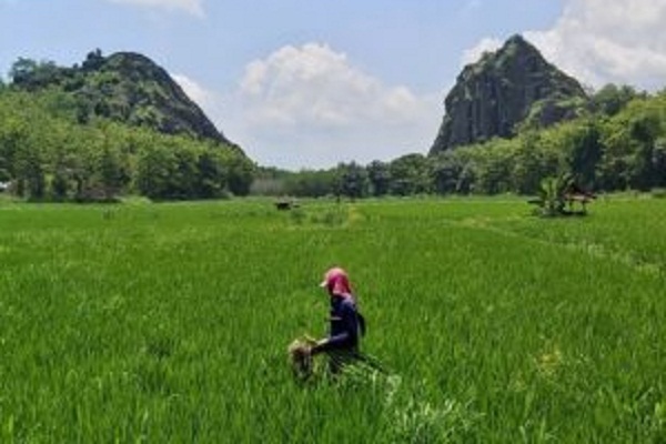 Ada Legenda Bandung Bondowoso di Gunung Sepikul Sukoharjo…