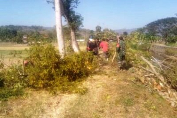 Pohon di Tanggul Sungai Sukoharjo Ditebang, Ular Bermunculan…