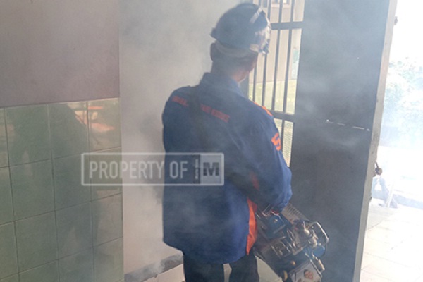 DBD di Blora Sudah Serang 96 Orang, 2 Meninggal