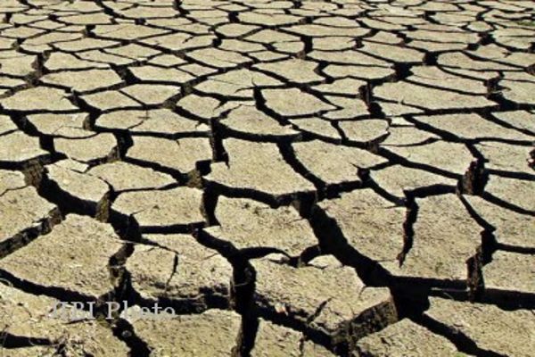 97 Desa di Grobogan Alami Kekeringan & Krisis Air Bersih
