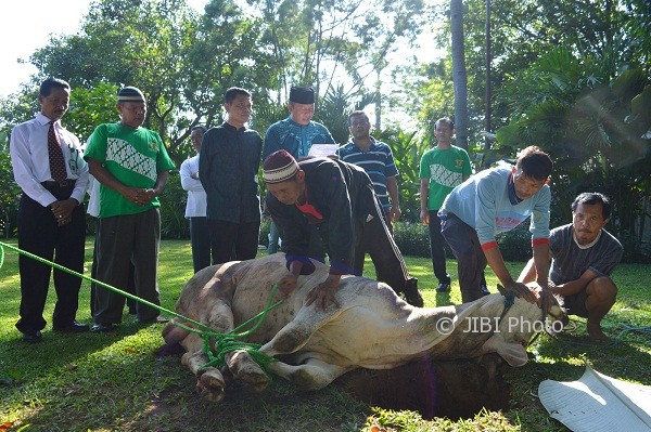 Pemkot Semarang Larang Warga Saksikan Penyembelihan Hewan Kurban