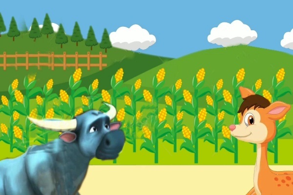 Kancil Tobat, Bantu Pak Tani dan Kerbau Malas