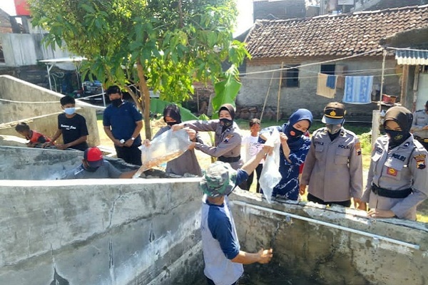 Polwan Bagikan 5.000 Ekor Bibit Ikan di Jepara, Untuk Apa?