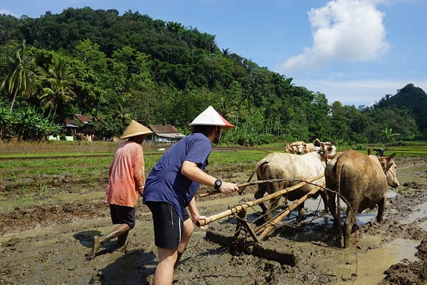 Desa Muncar Dulu Dihindari, Sekarang Jadi Ekowisata Favorit Turis