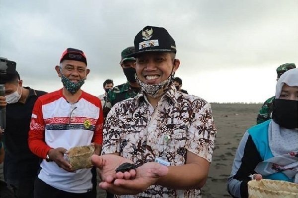 Hari Konservasi Alam, Tukik-Tukik Bebas di Kebumen