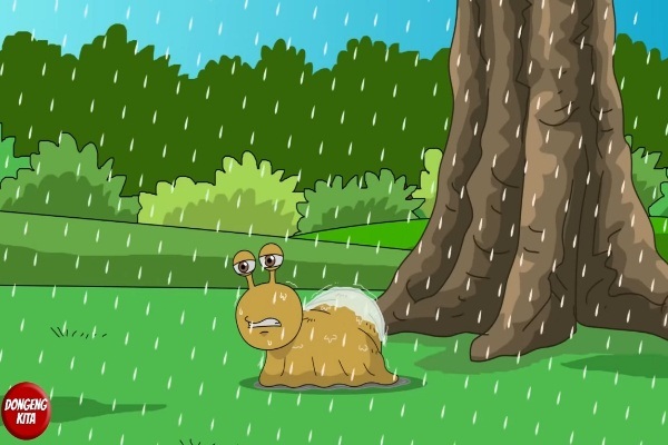 Diusir Berulang Kali, Akhirnya Siput Punya Cangkang sebagai Rumah