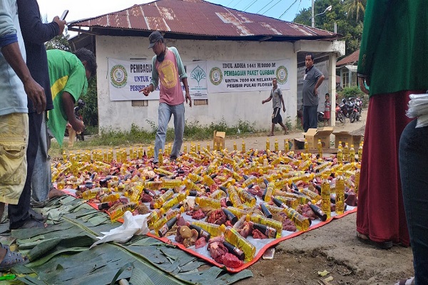 UIN Walisongo Sumbang Hewan Kurban ke Boven Digul