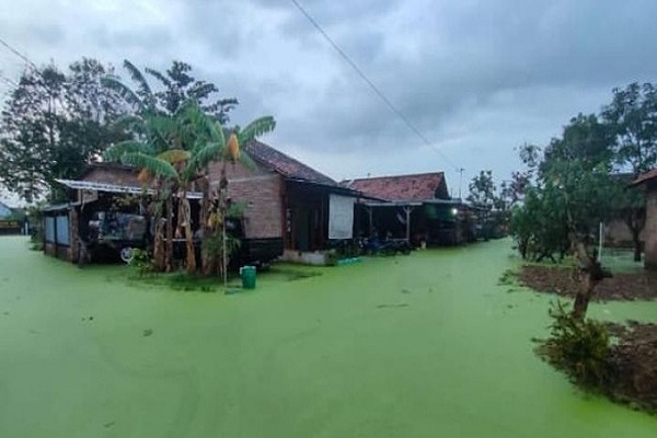 Heboh! Air Banjir Di Pekalongan Bewarna Hijau