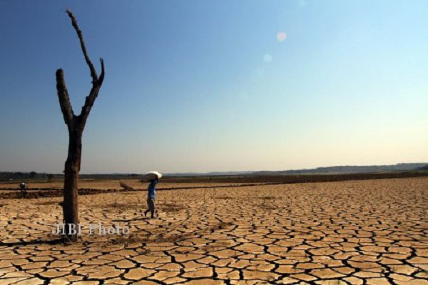 Musim Kemarau di Jateng Tiba Bulan Mei, Waspadai Kekeringan!