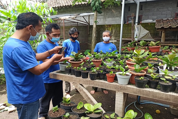 Pandemi Ubah Warga Kampung di Salatiga Jadi Pelaku Bisnis Tanaman Hias
